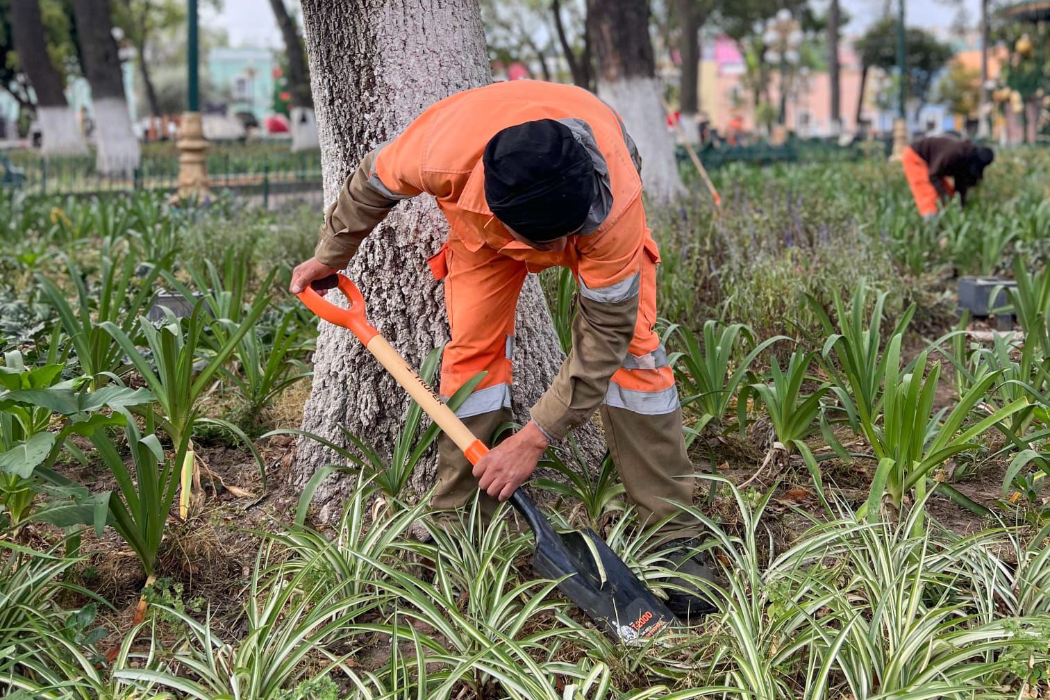 Ayuntamiento de Tlaxcala realiza intensa faena de embellecimiento en el centro de la capital
